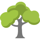 Lawrence Tree Trimming Service