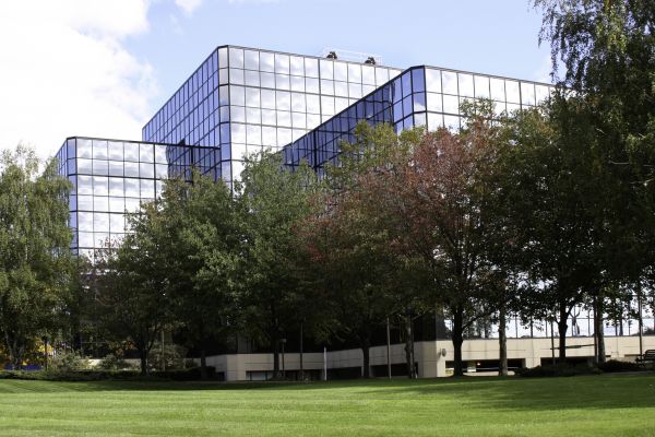 Cost of Commercial Tree Trimming in Lawrence